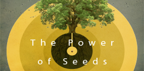 The Power of Seeds